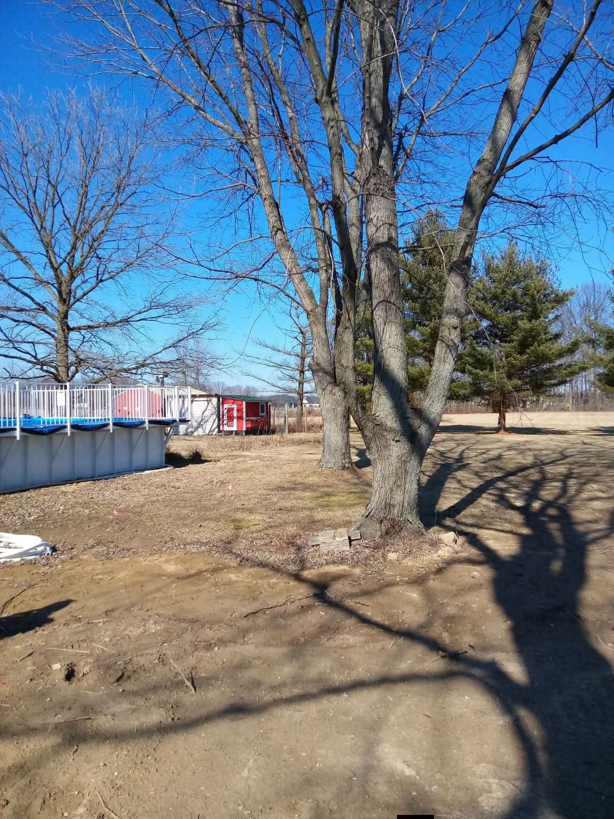 Yard Restoration