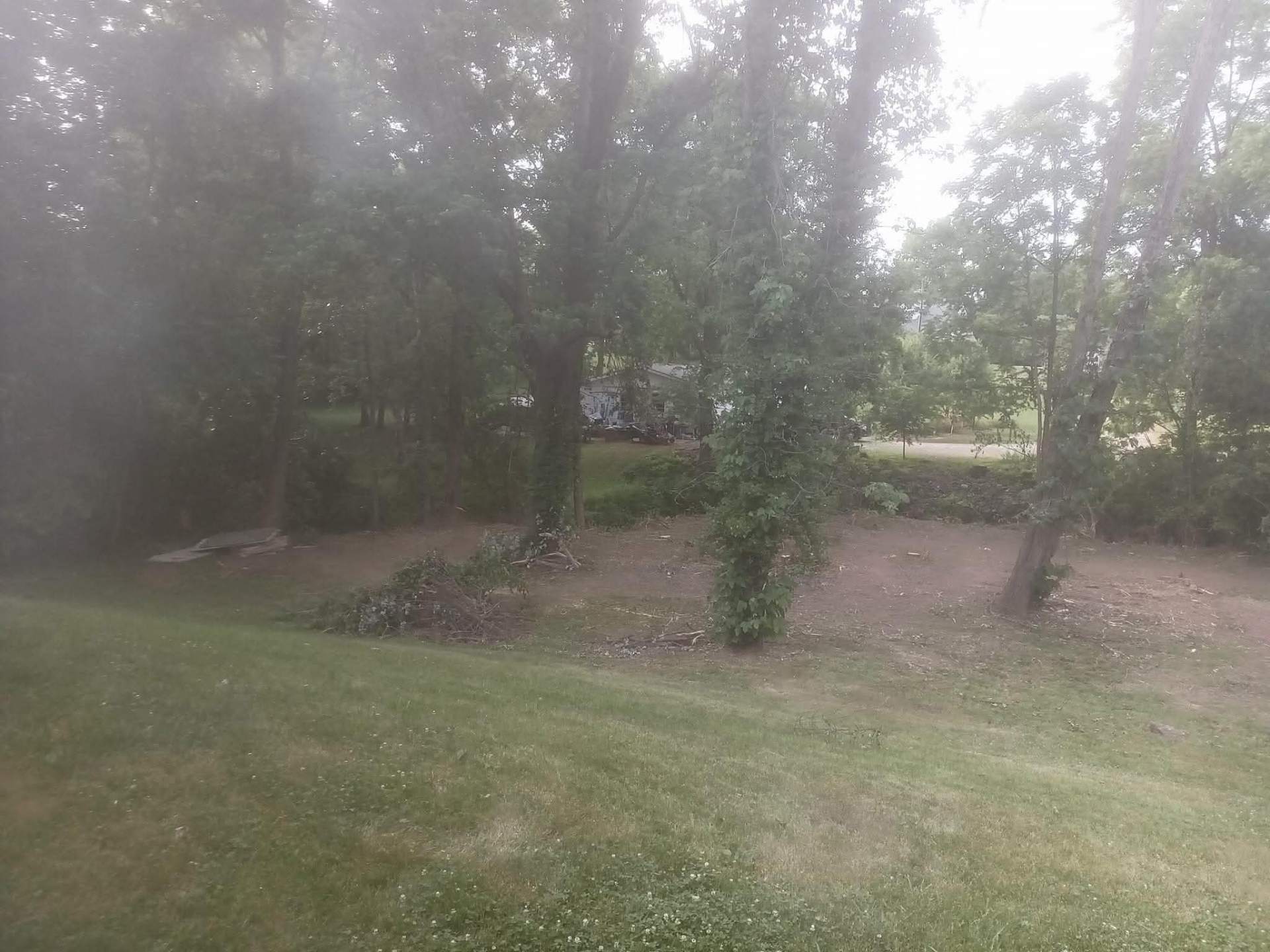 Tree Trimming