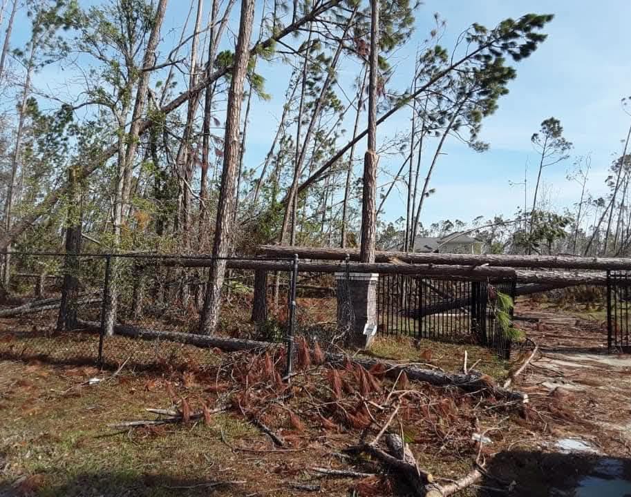 Emergency Tree Service
